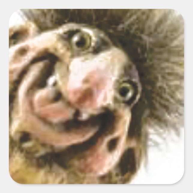 Busta Troll Square Sticker (Front)