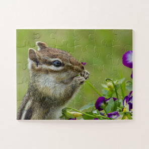 Busted Chipmunk puzzle