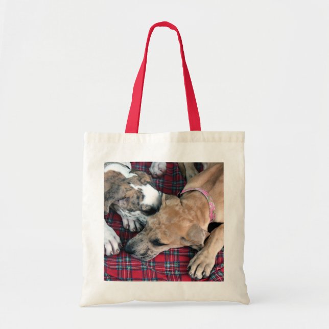 buster and jade 4 tote bag (Front)