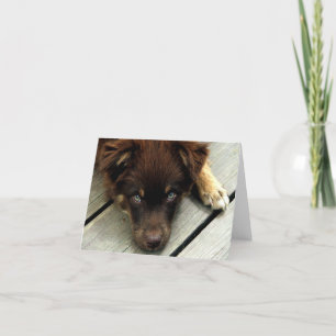 Buster Notecard