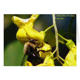 Busy as a Bee Cards
