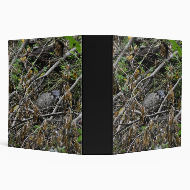 Busy Beaver 3 Ring Binder (Background)