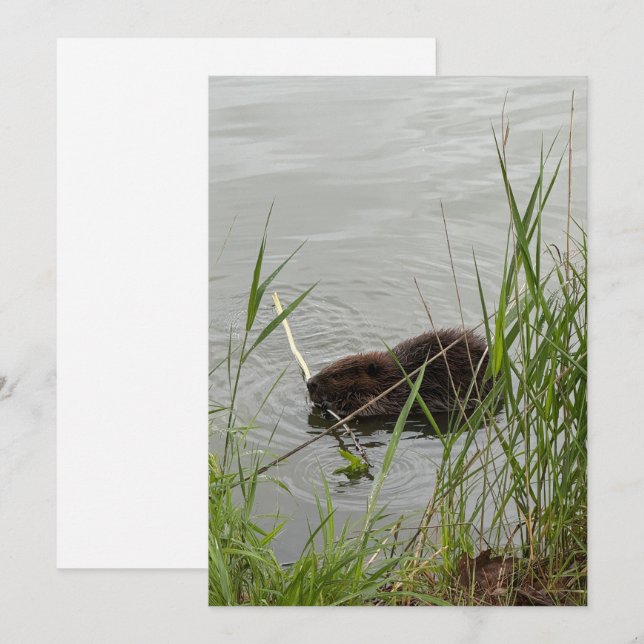 Busy Beaver Holiday Card (Front/Back)