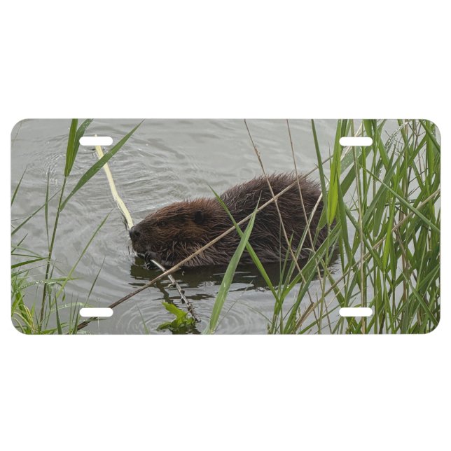 Busy Beaver License Plate (Front)