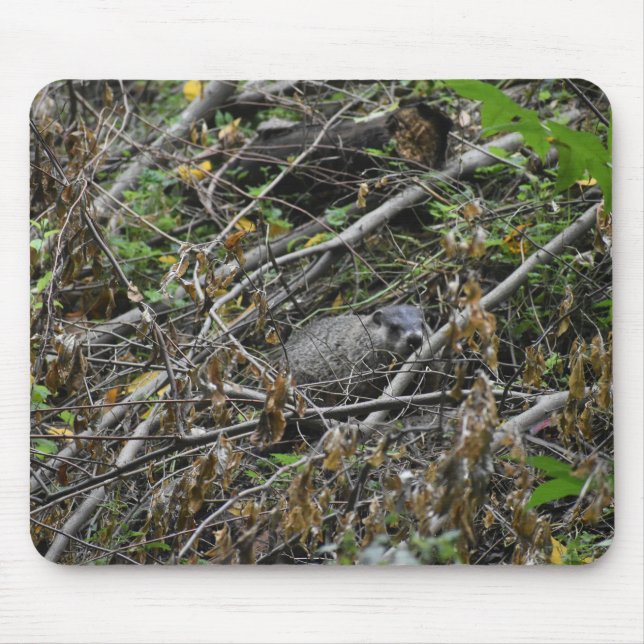 Busy Beaver Mouse Pad (Front)