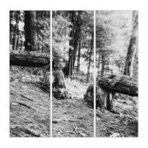 Busy Beaver Wall Art