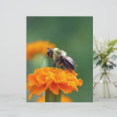 Busy Bee (Standing Front)