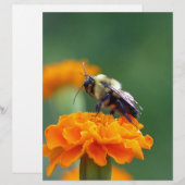 Busy Bee (Front/Back)