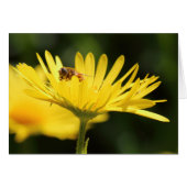 Busy Bee (Front Horizontal)