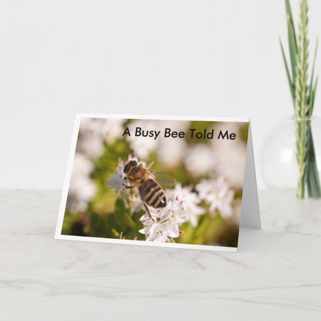 Busy Bee Birthday Card (Front)