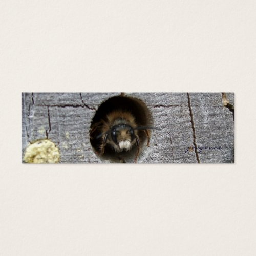 busy bee bookmark business card templates