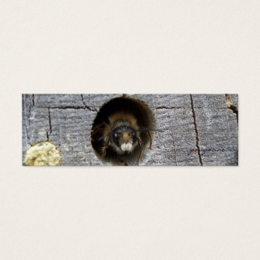 Customizable busy bee bookmark business card templates