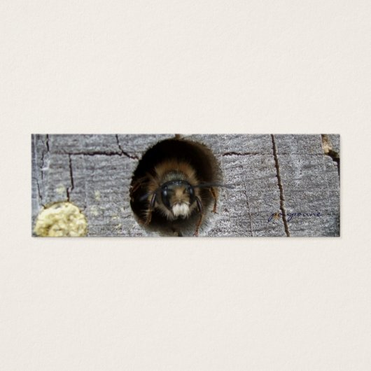 busy bee bookmark (Front)