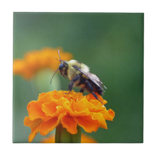 Busy Bee Ceramic Tile