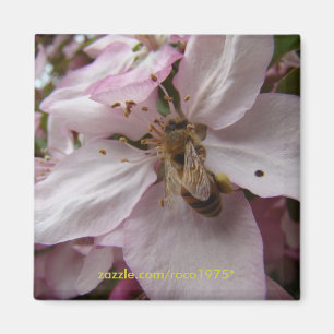 Busy Bee Magnet