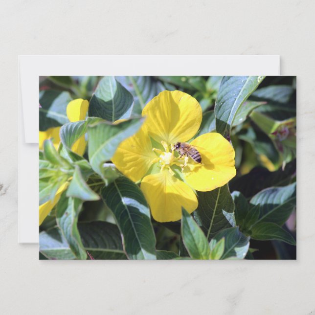 Busy Bee Note Card (Front)