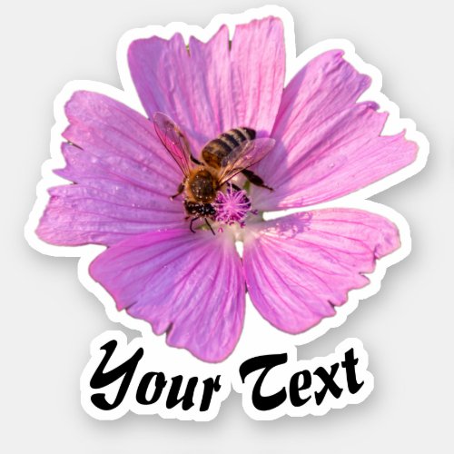 Busy bee on pink flower petals floral spring time sticker