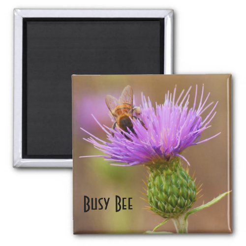 Busy Bee On Purple Thistle Close_Up Photo Template Magnet