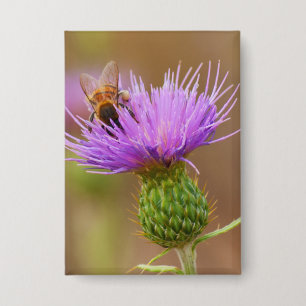 Busy Bee On Purple Thistle Clsoe-Up Photograph Button