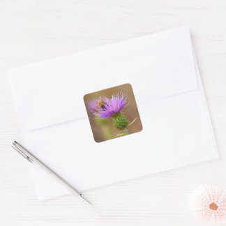 Busy Bee on Purple Thistle Photo Square Sticker