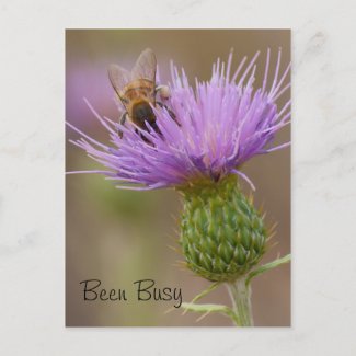 Busy Bee On Purple Thistle Photograph Custom