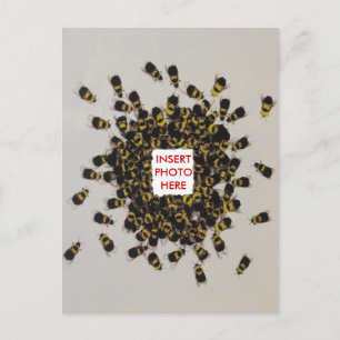 Busy Bee PHOTO INSERT Postcard