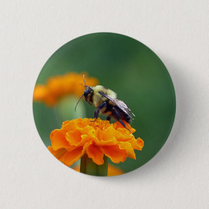 Busy Bee Pinback Button