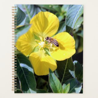 Busy Bee
