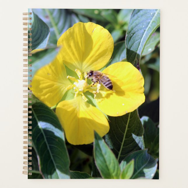 Busy Bee Planner (Front)