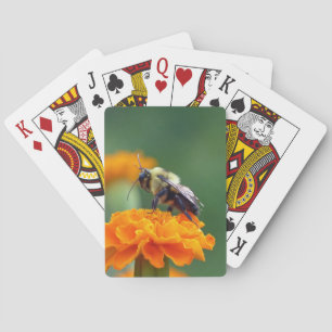 Busy Bee Poker Cards