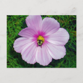 Busy Bee Postcard