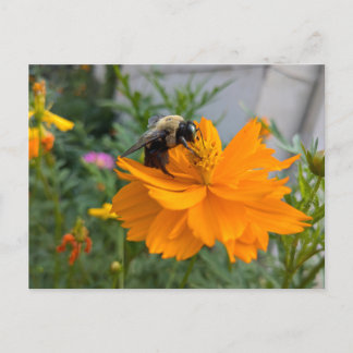 Busy Bee Postcard - by Cottagevale
