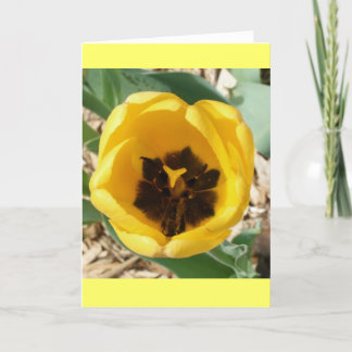 Busy Bee Tulip Card