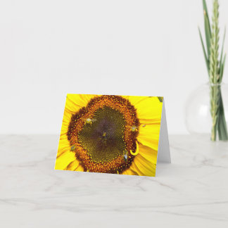Busy Bee's Letterpress Thank You Card