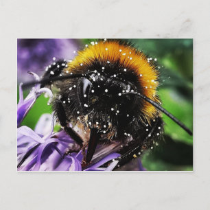 Busy Bumble Bee Postcard
