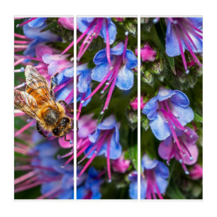 Busy Busy Triptych