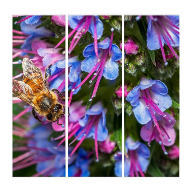 Busy Busy Triptych (Front)