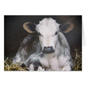 Busy Day Crop (Front Horizontal)