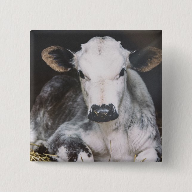 Busy Day Crop Button (Front)