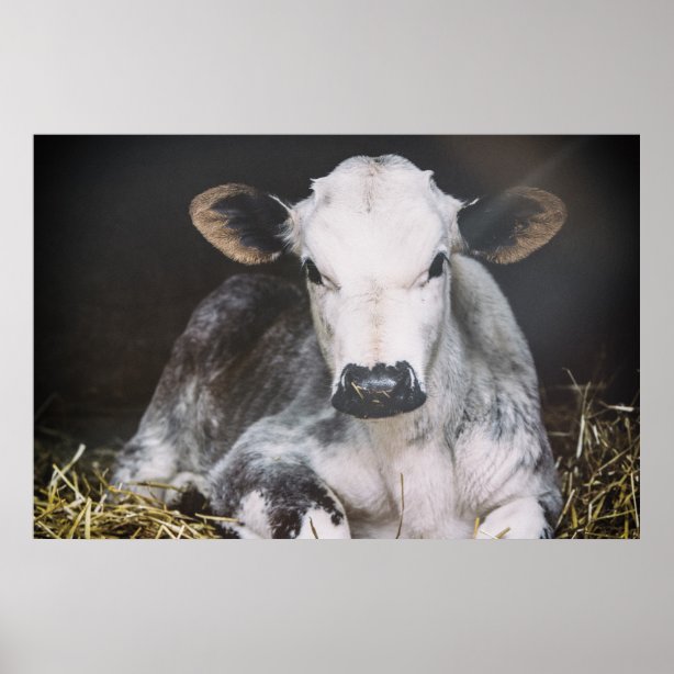 Some like it hot problematic image