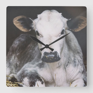 Busy Day Crop Square Wall Clock