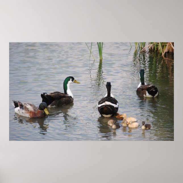 Busy Doin' Nothin' Poster (Front)