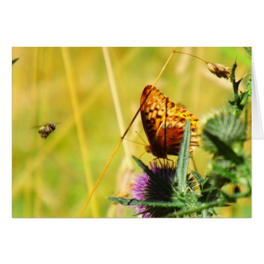 Busy Meadow Cards (Front Horizontal)