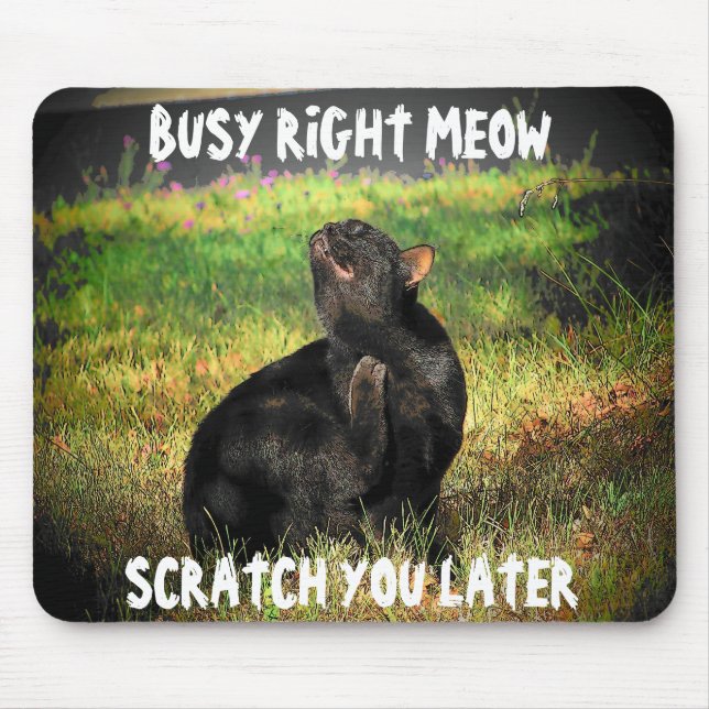 Busy Right Meow Cat Meme Mouse Pad (Front)