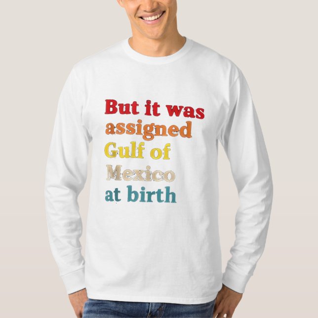 But It Was Assigned Gulf of Mexico at Birth T-Shirt (Front)