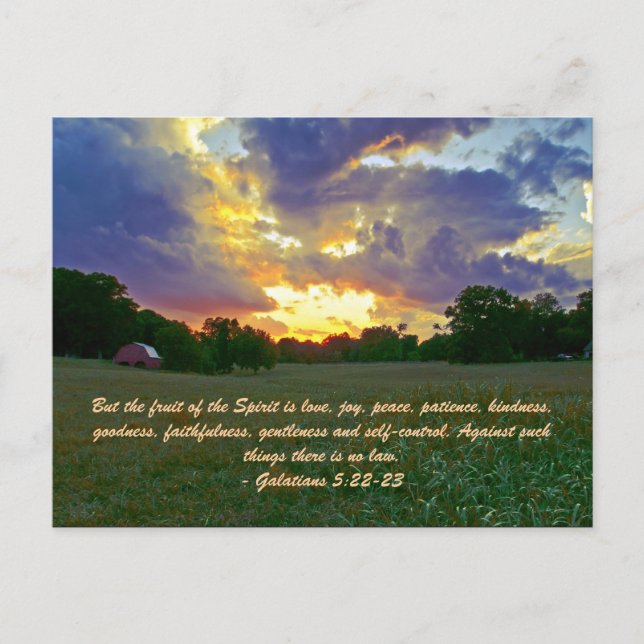 But the fruit of the Spirit is love, joy, peace, p Postcard (Front)