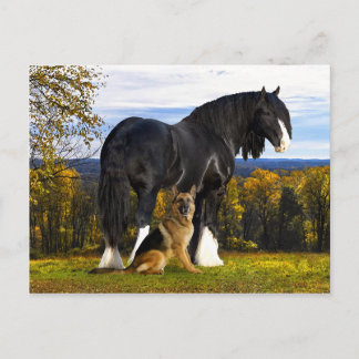 "Butch and Blackbird" Postcard