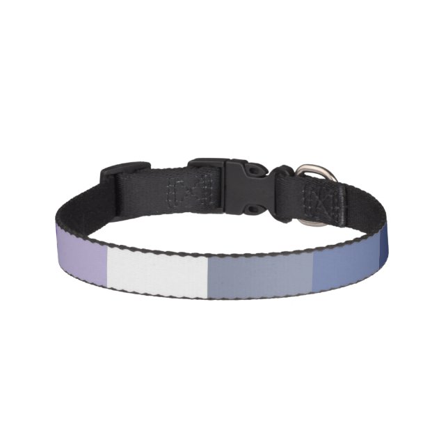 Butch Lesbian Pride Flag Pet Collar (Front)