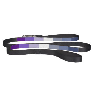 Butch Lesbian Pride Flag Pet Leash