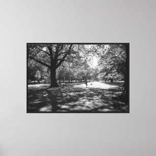 Bute Park on a Summer Afternoon. Cardiff, Wales Canvas Print